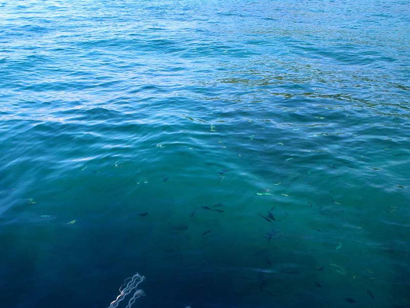 水質(zhì)軟硬度和酸堿度有什么區(qū)別 水質(zhì)軟硬度和酸堿度有什么區(qū)別