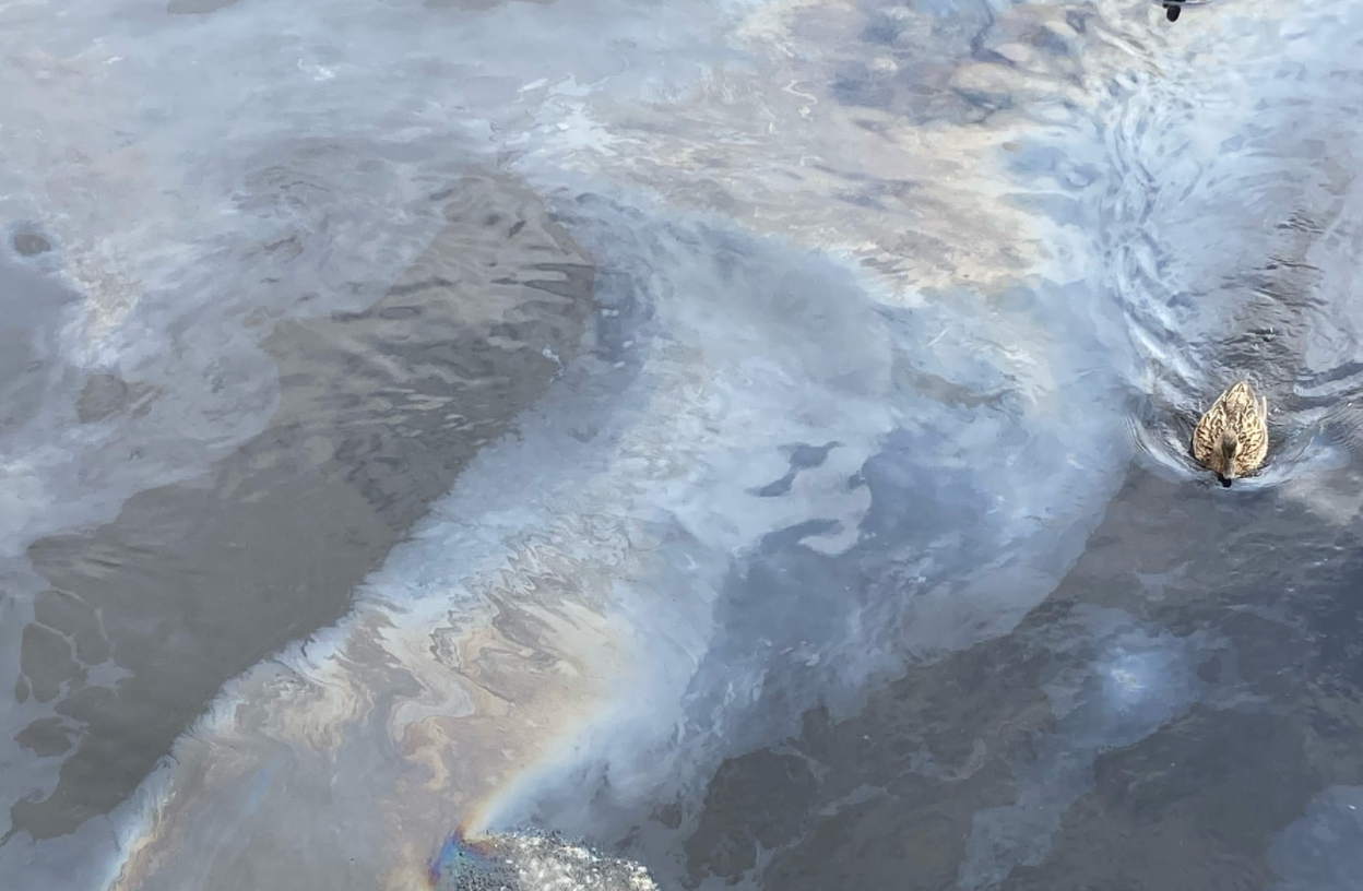 紅外分光光度法檢測(cè)工業(yè)廢水中石油含量的步驟 紅外分光光度法檢測(cè)工業(yè)廢水中石油含量的步驟